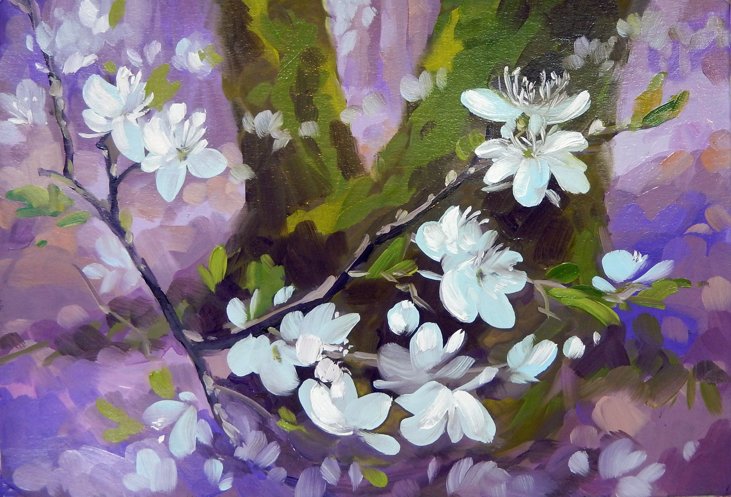 Blackthorn blossom (oil)