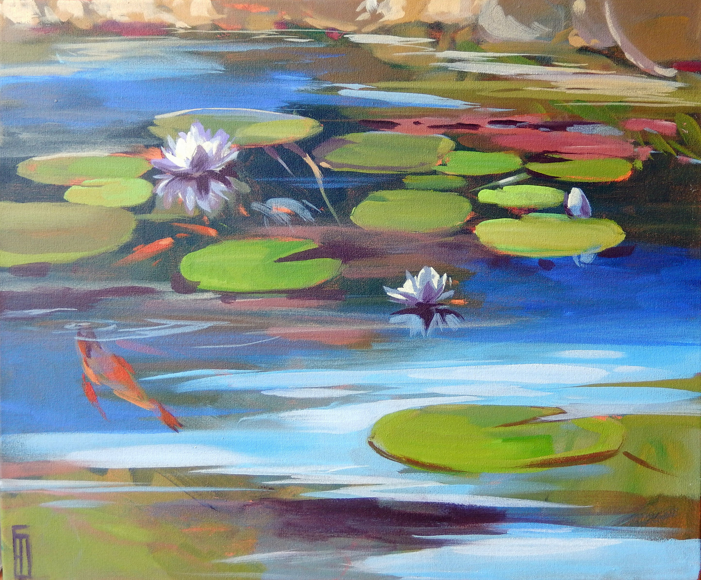 Scottish Waterlilies