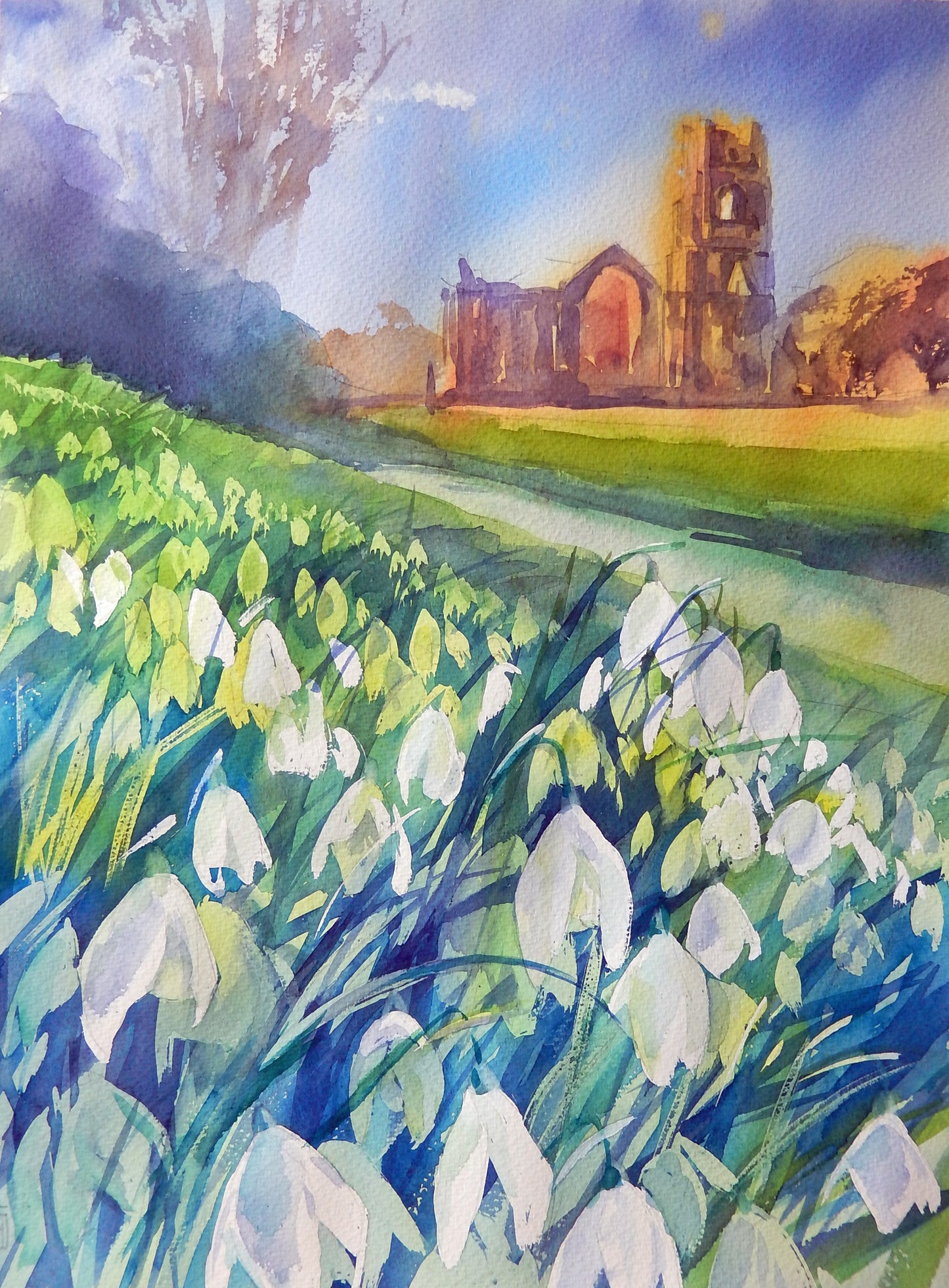 Fountains Abbey and Snowdrops