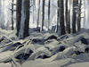 Tonal study of a pine woodland