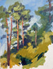 Pine Trees Study