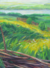 Summer Fields, Abalak